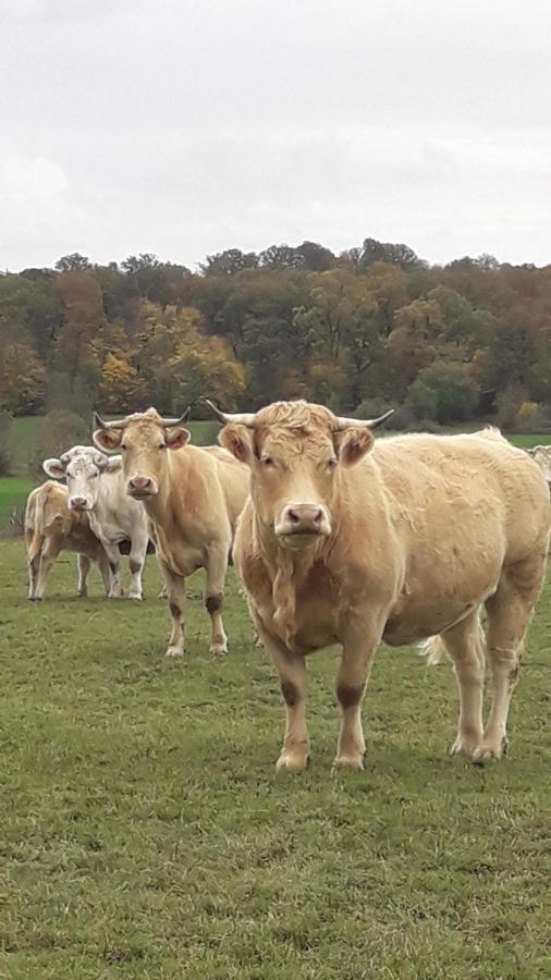 Gite La Besse, Claudon Exteriér fotografie