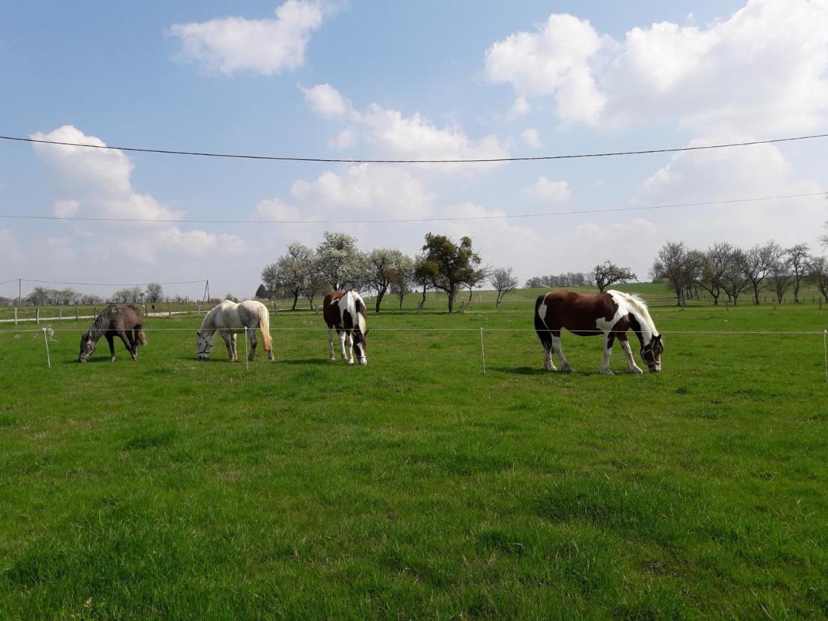 Gite La Besse, Claudon Exteriér fotografie