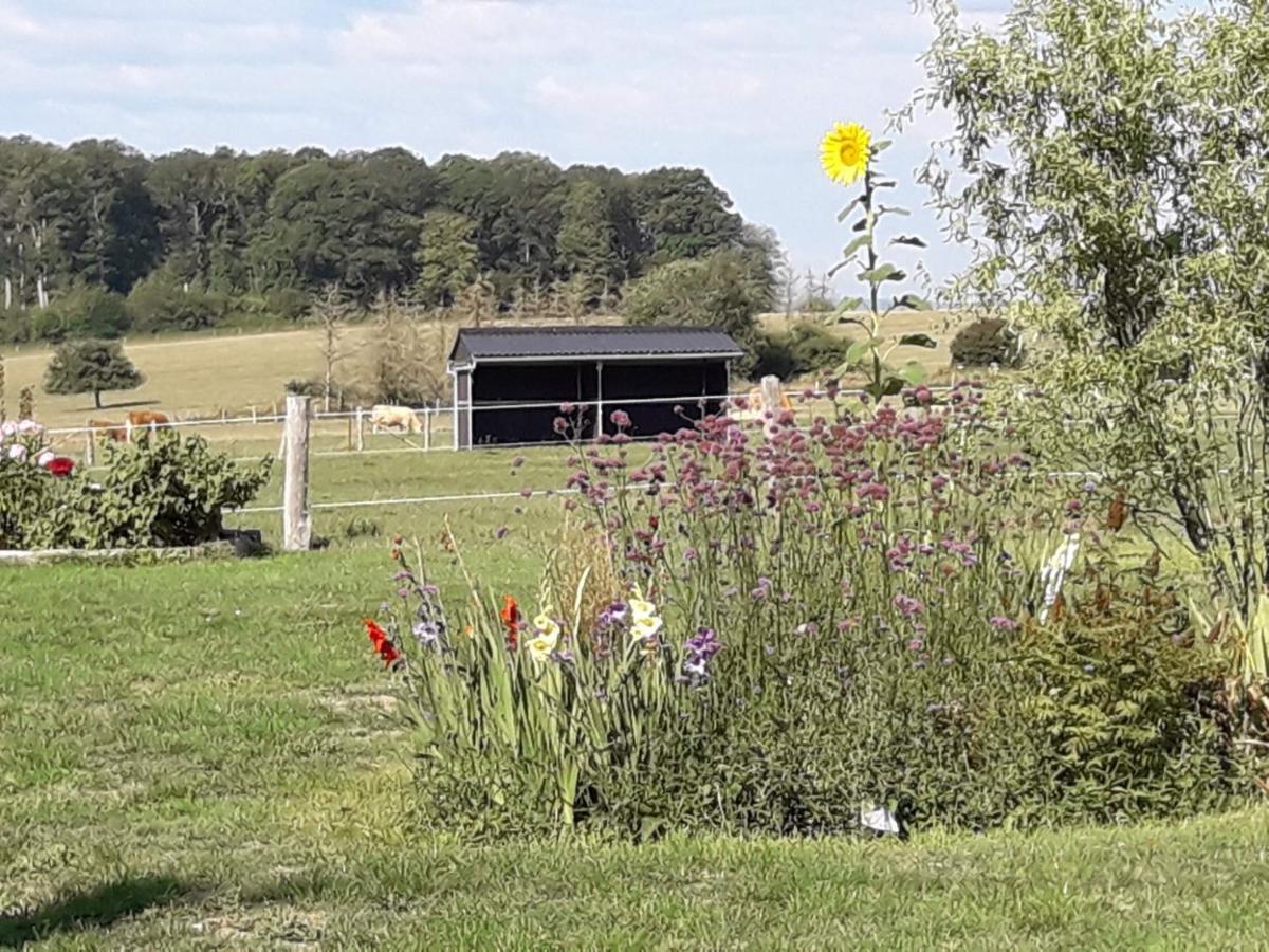 Gite La Besse, Claudon Exteriér fotografie