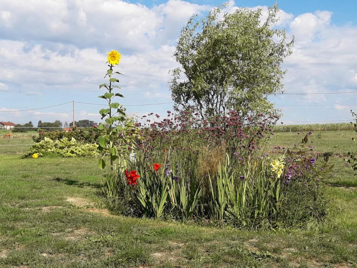 Gite La Besse, Claudon Exteriér fotografie